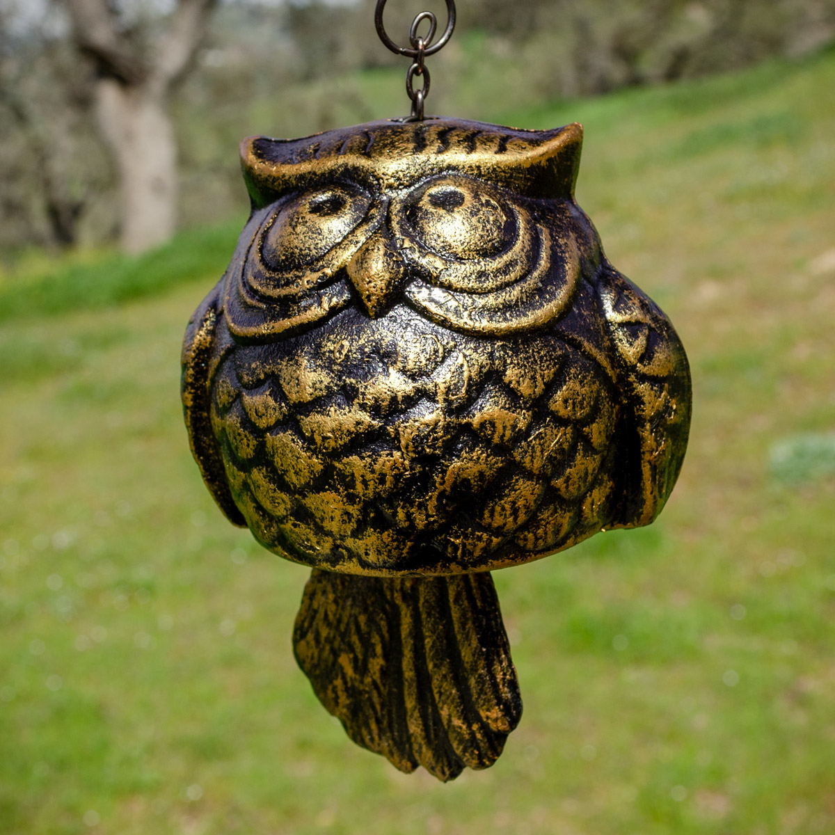 2022 Paso Robles Trophy Owl